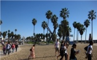 Sprachreise Los Angeles USA